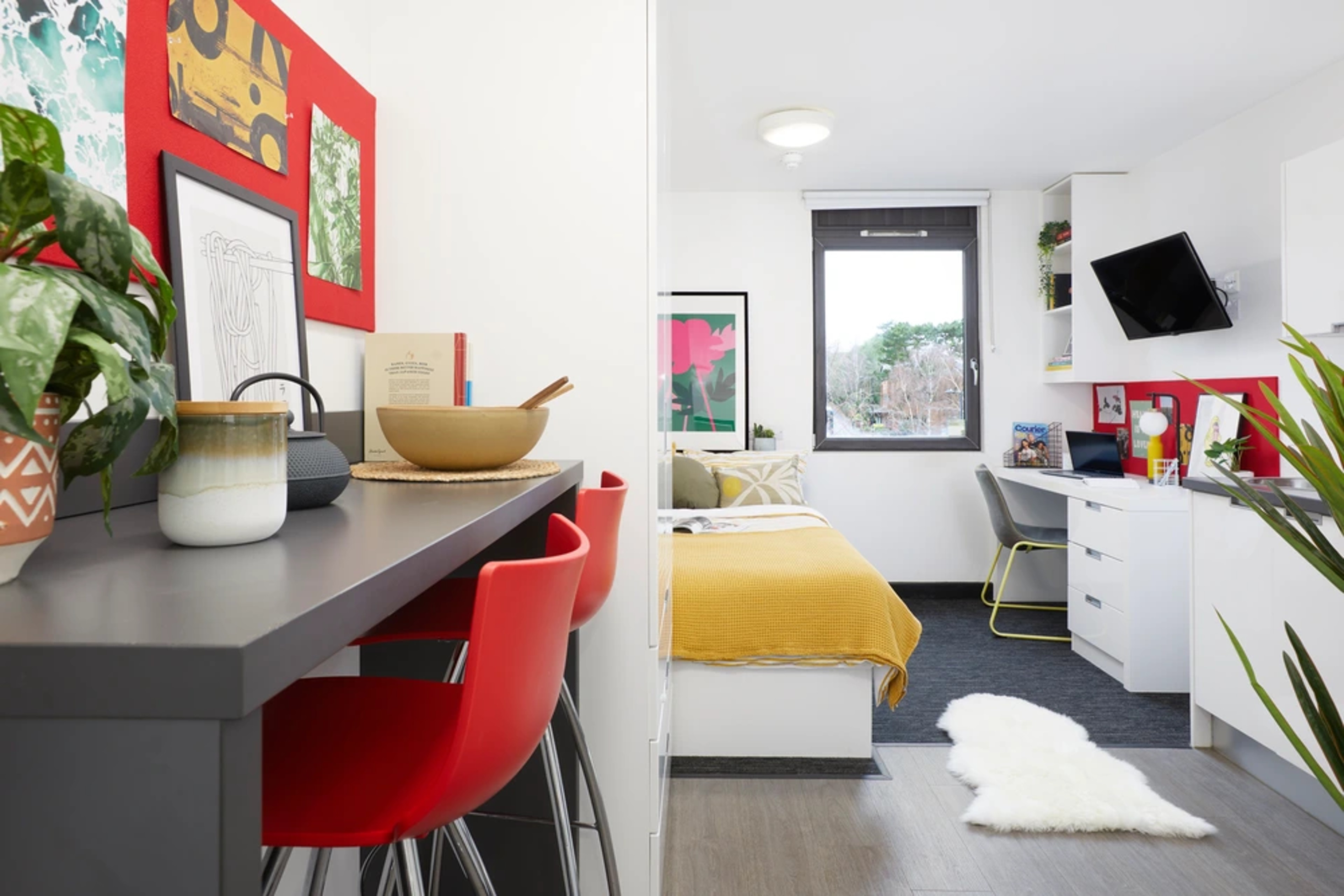 Bed and kitchen area of a Studio Classic