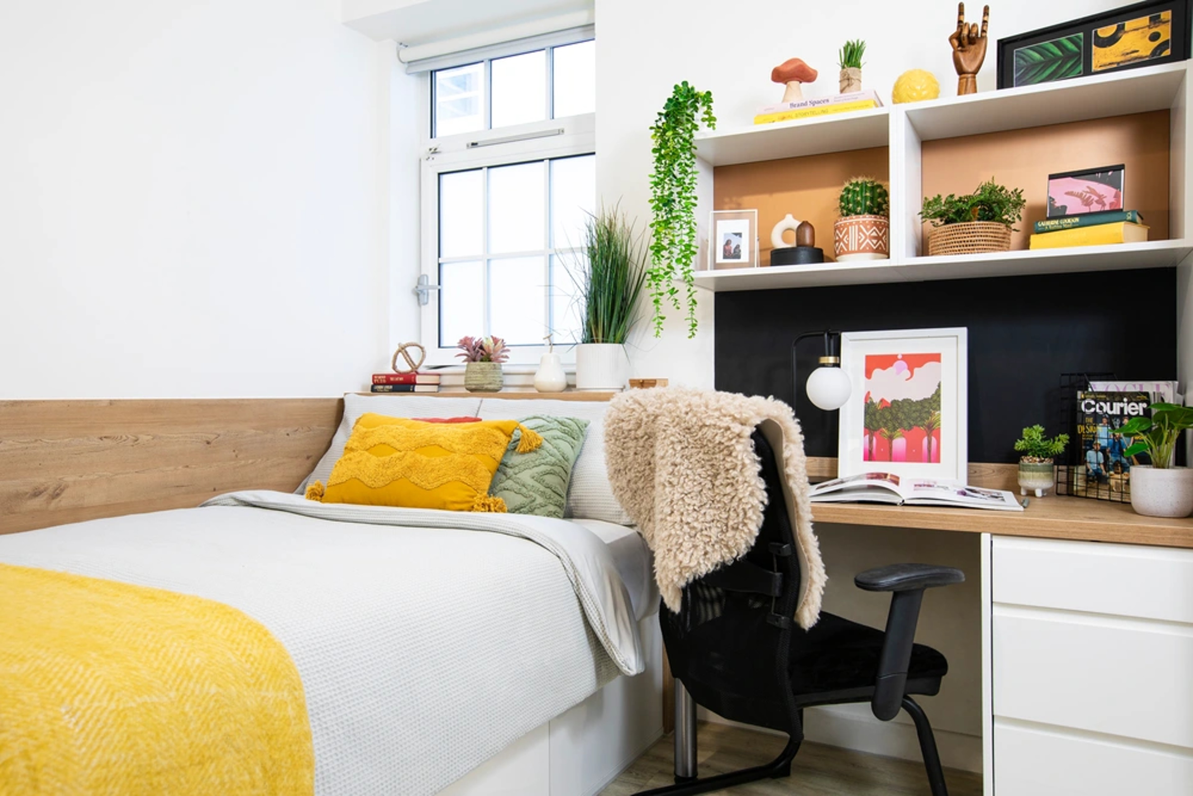 Twin Studio Premium Range 1 room 2