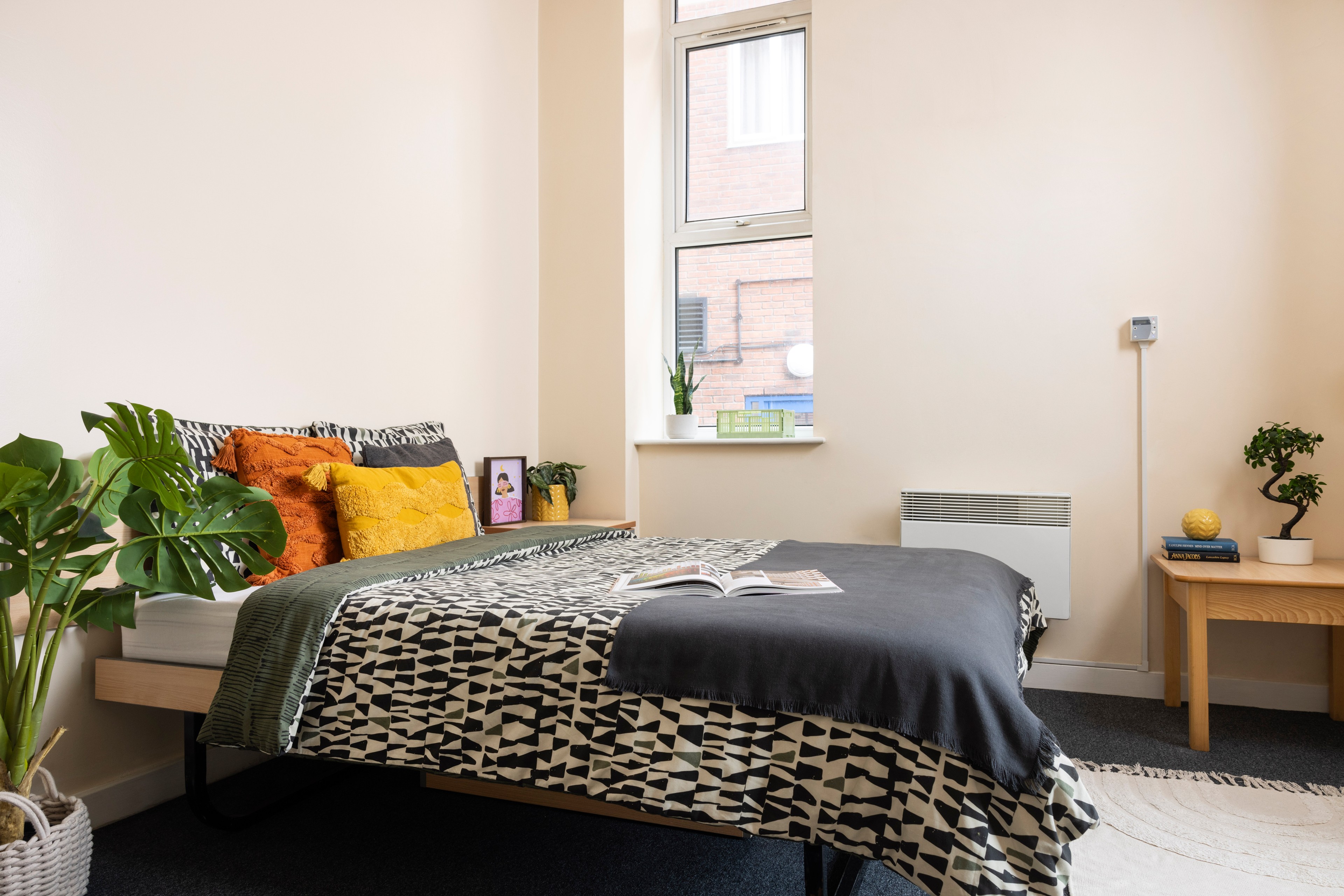 Bed in a studio room