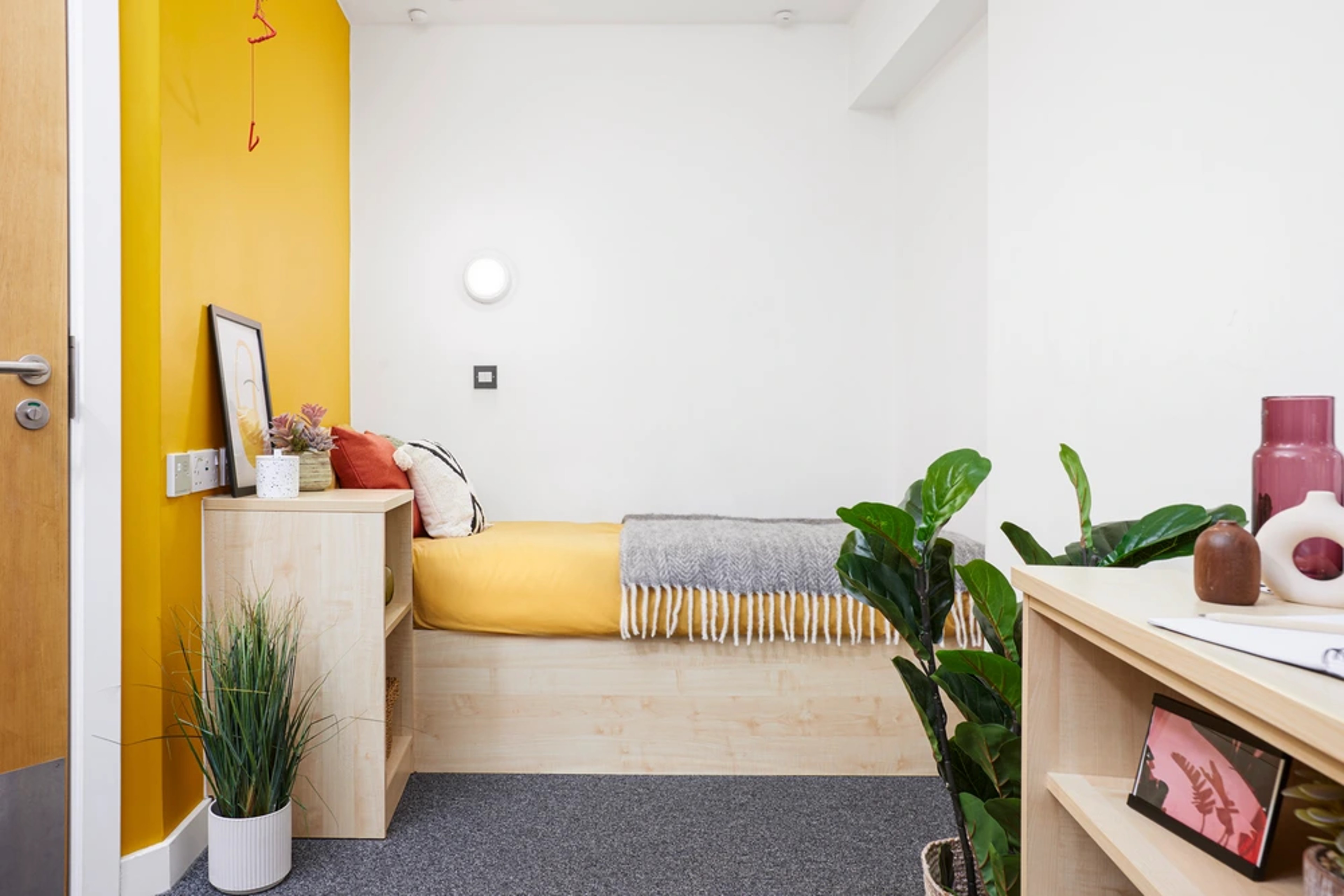 Bed in a Premium Accessible En-suite 