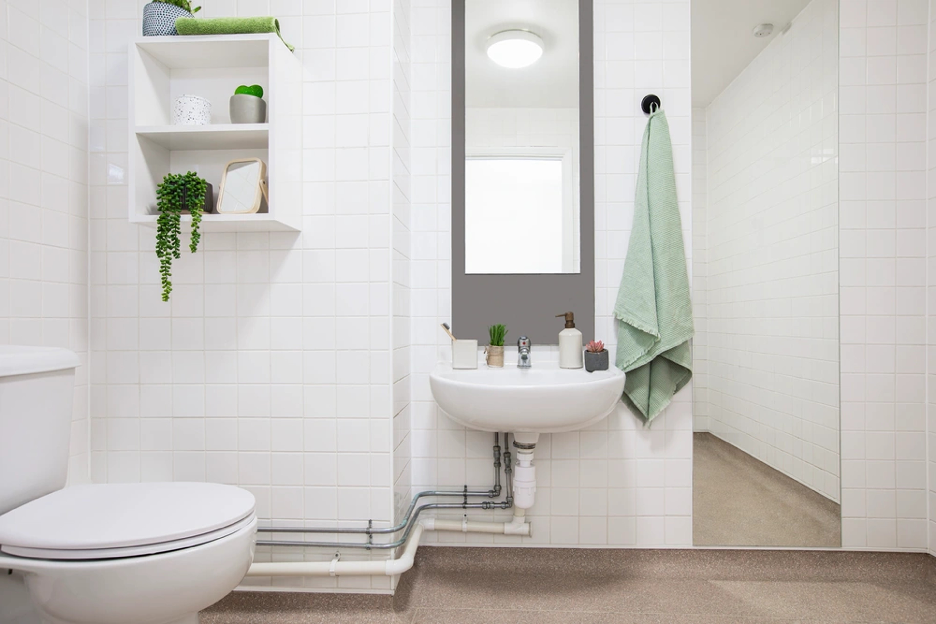 Bathroom in an Accessible Studio Classic