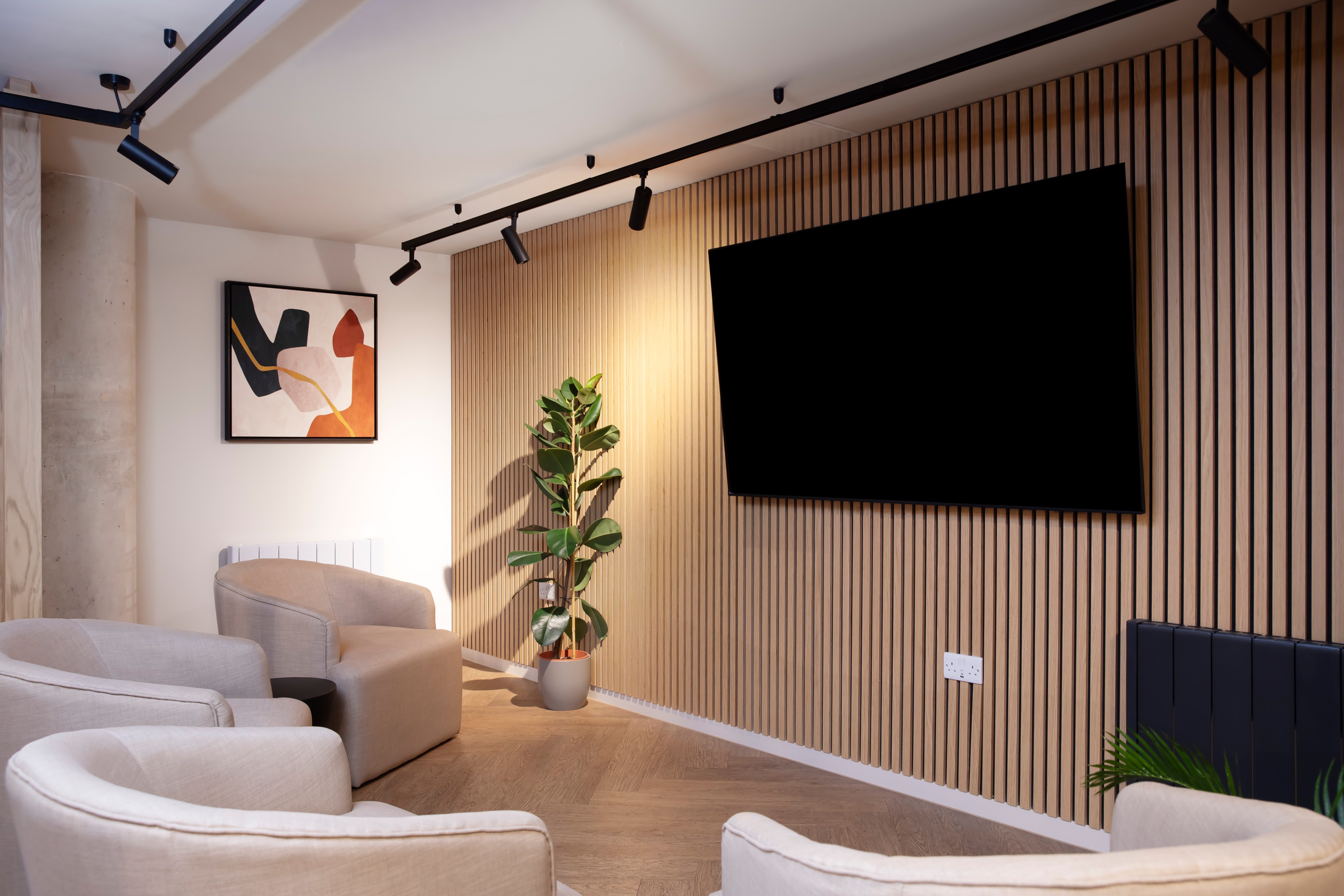 TV area at Stapleton House