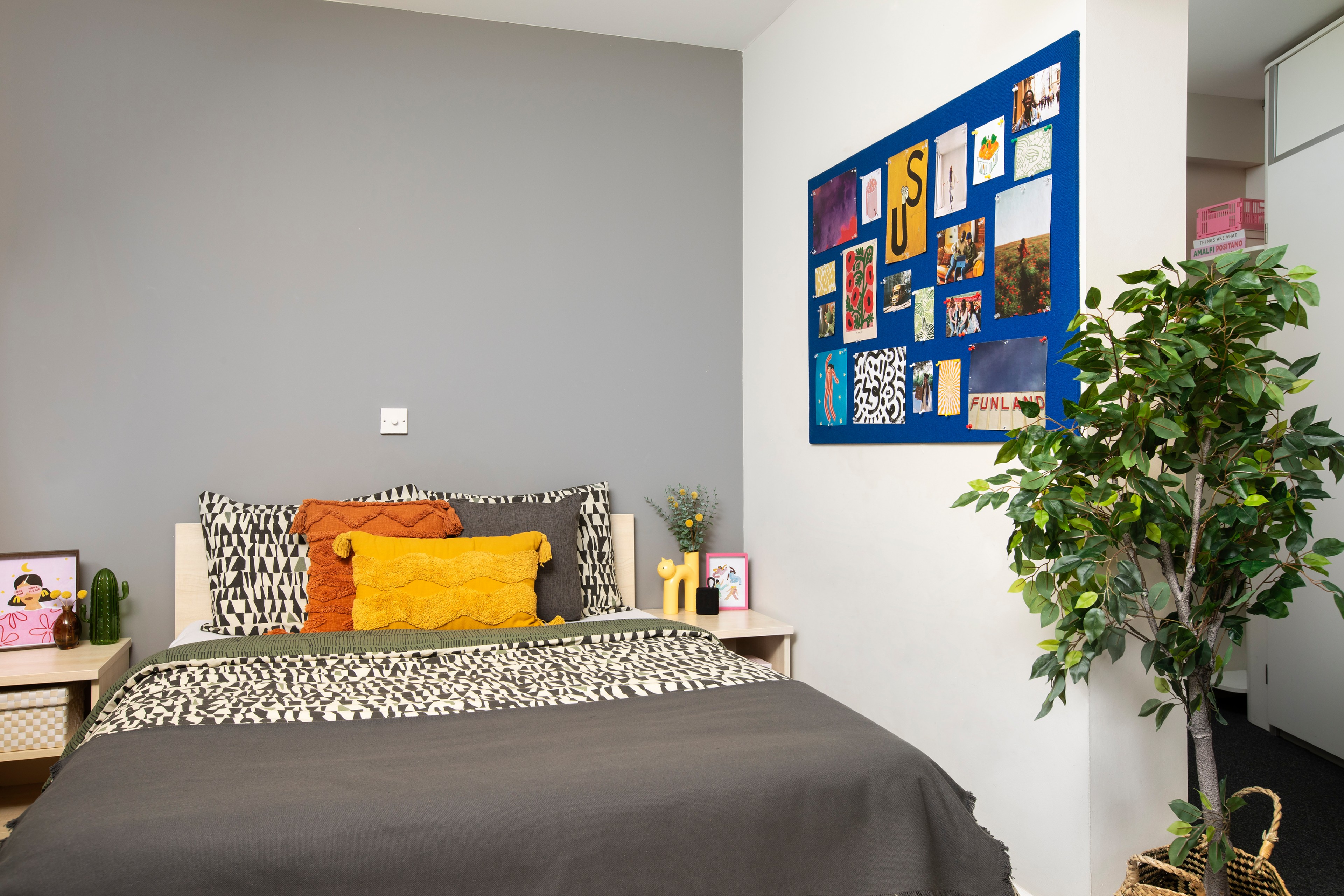 Bed in a Studio
