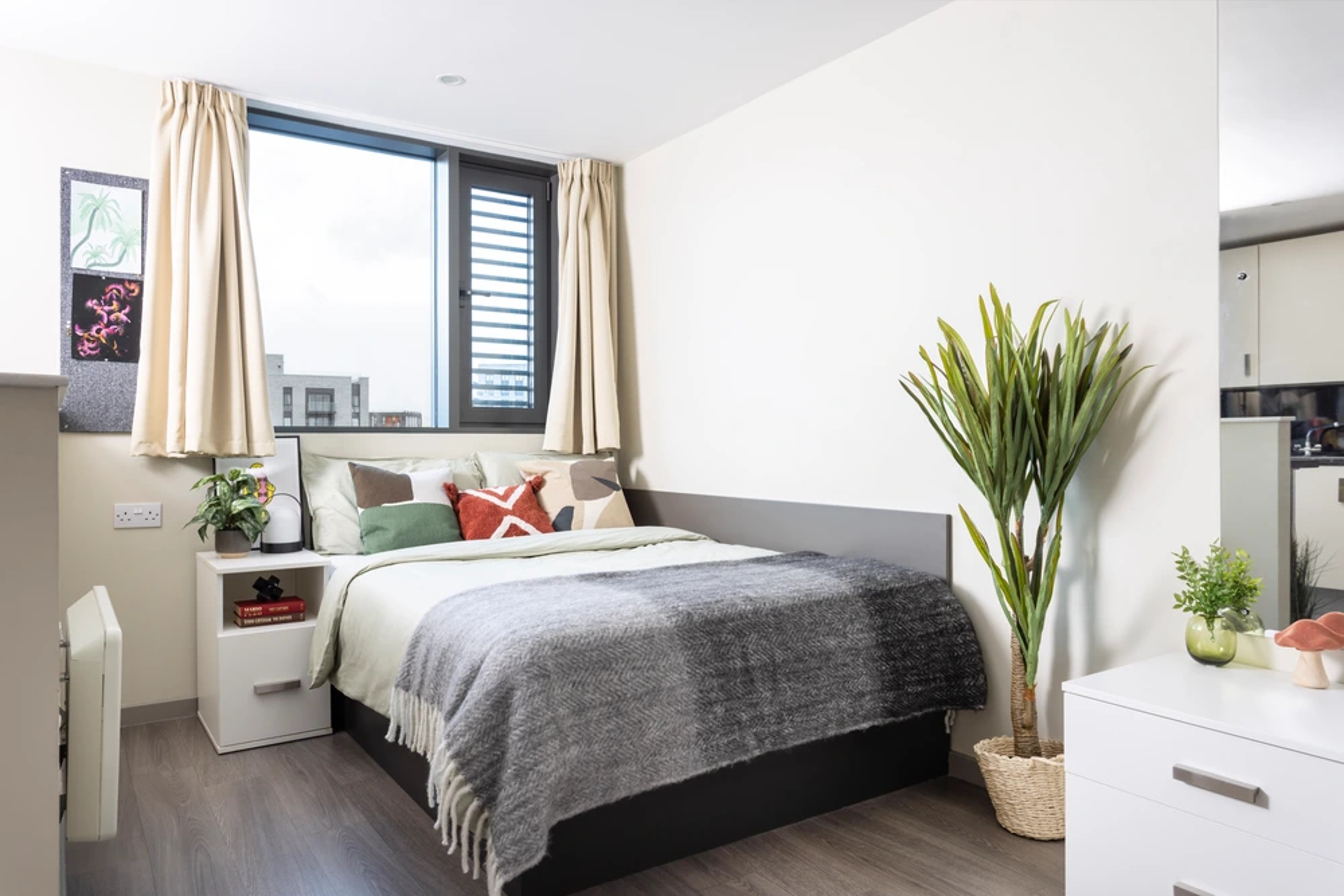 Bed in a Studio room