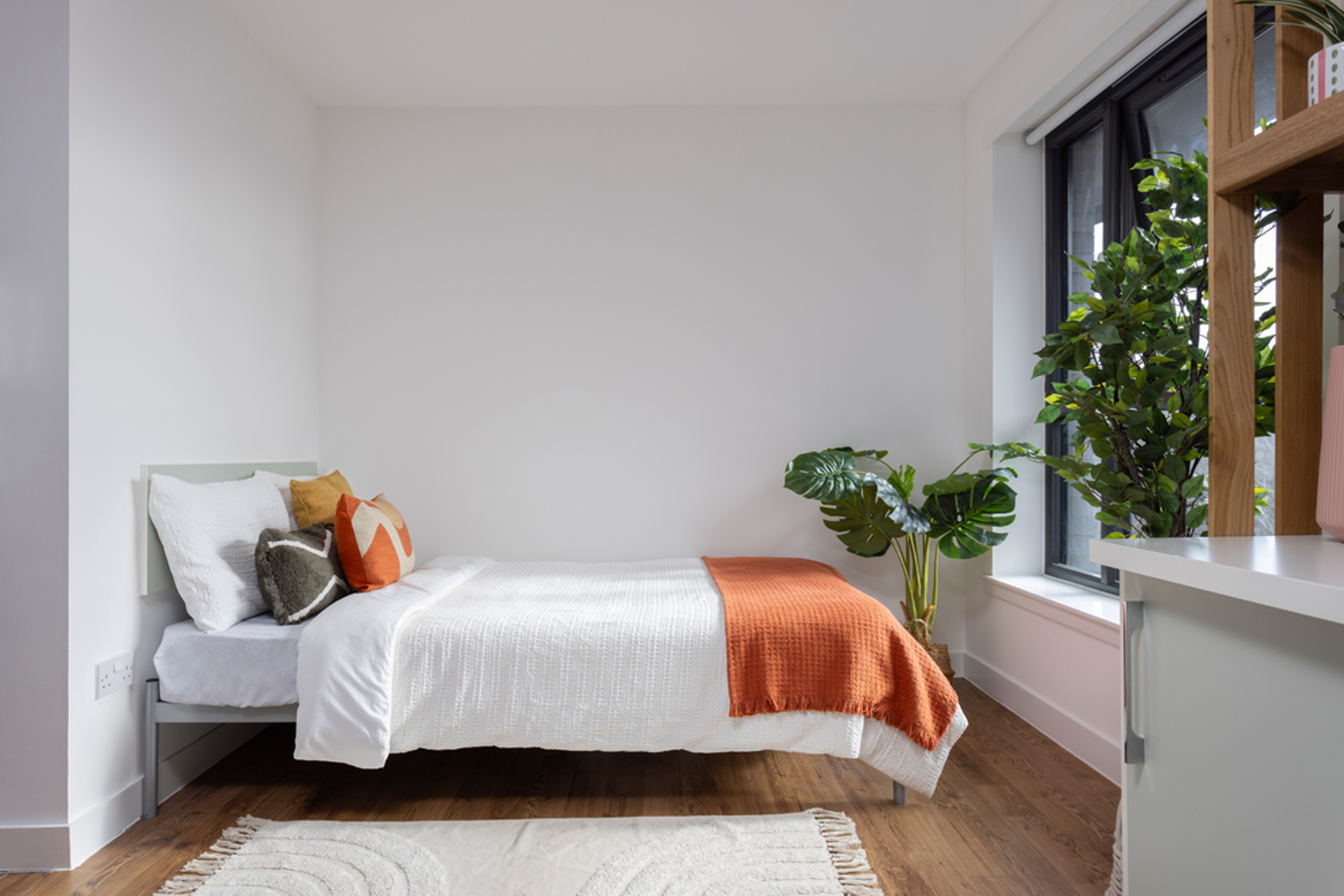 Bed in a Studio