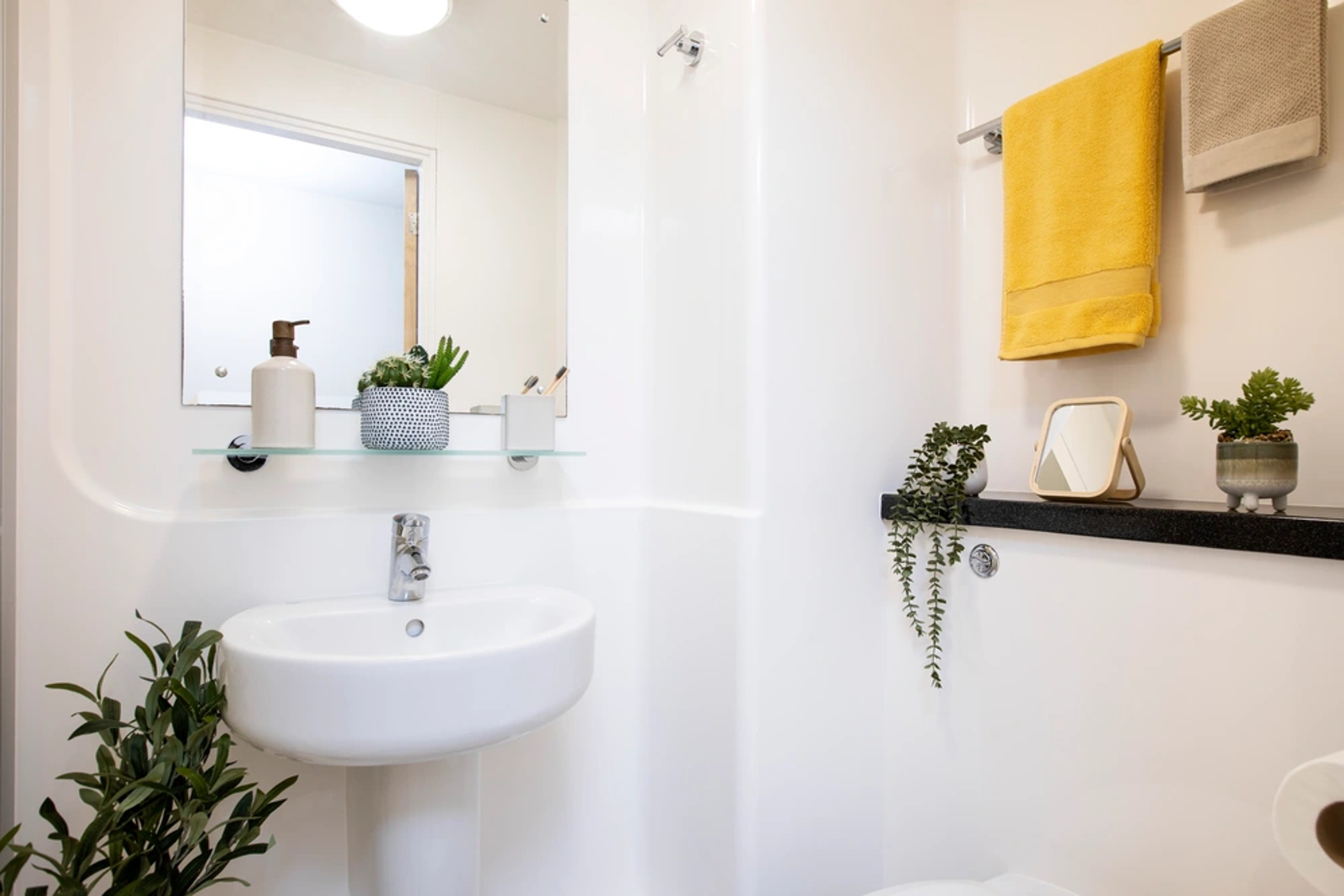 Standard bathroom