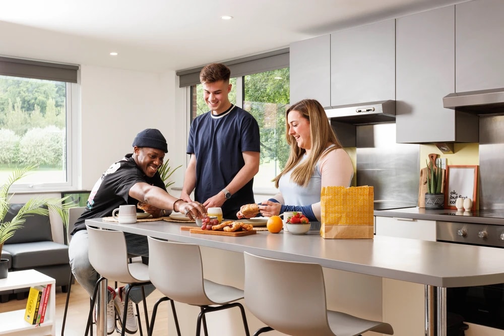 Students in a shared kitchen