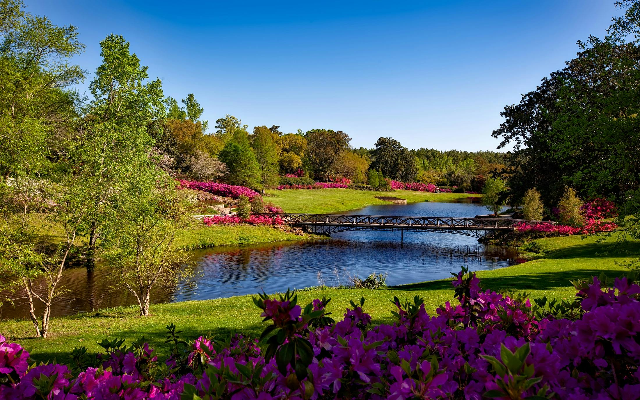 Photo of a lake in a park