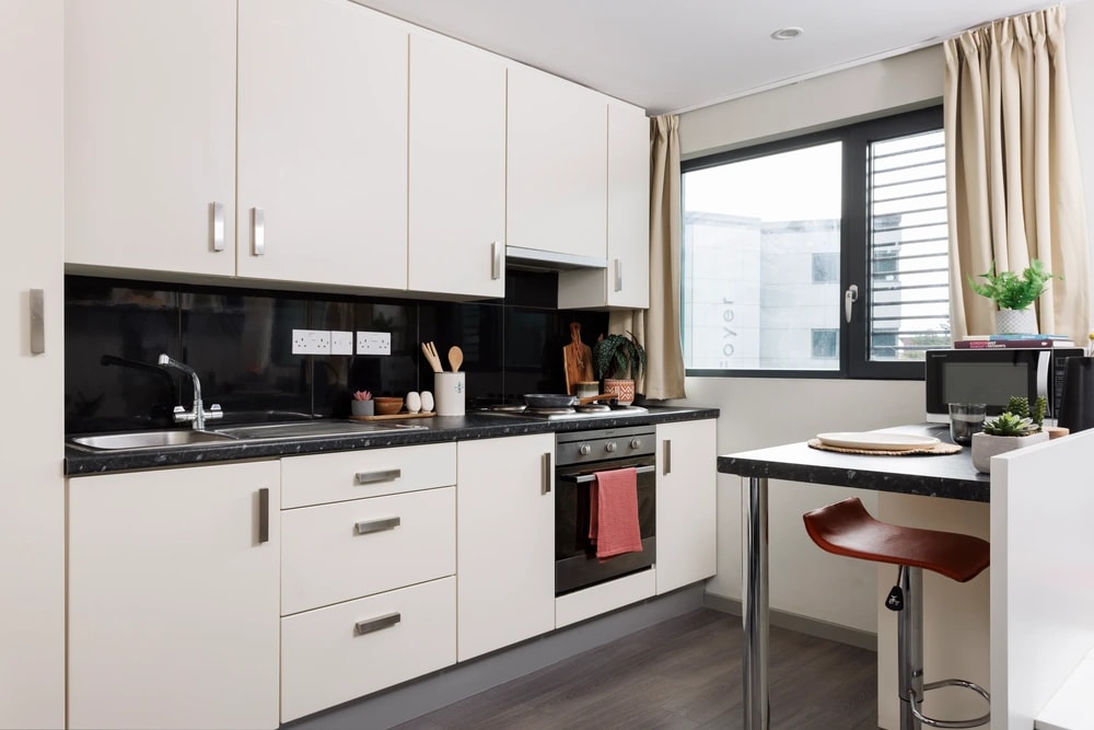 Kitchen in a Classic Studio