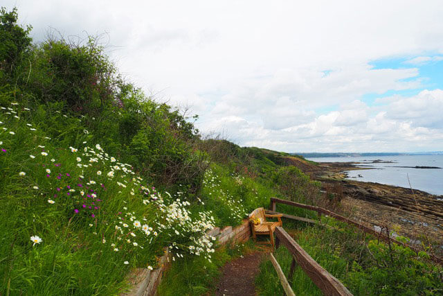 Photo of beach landscape