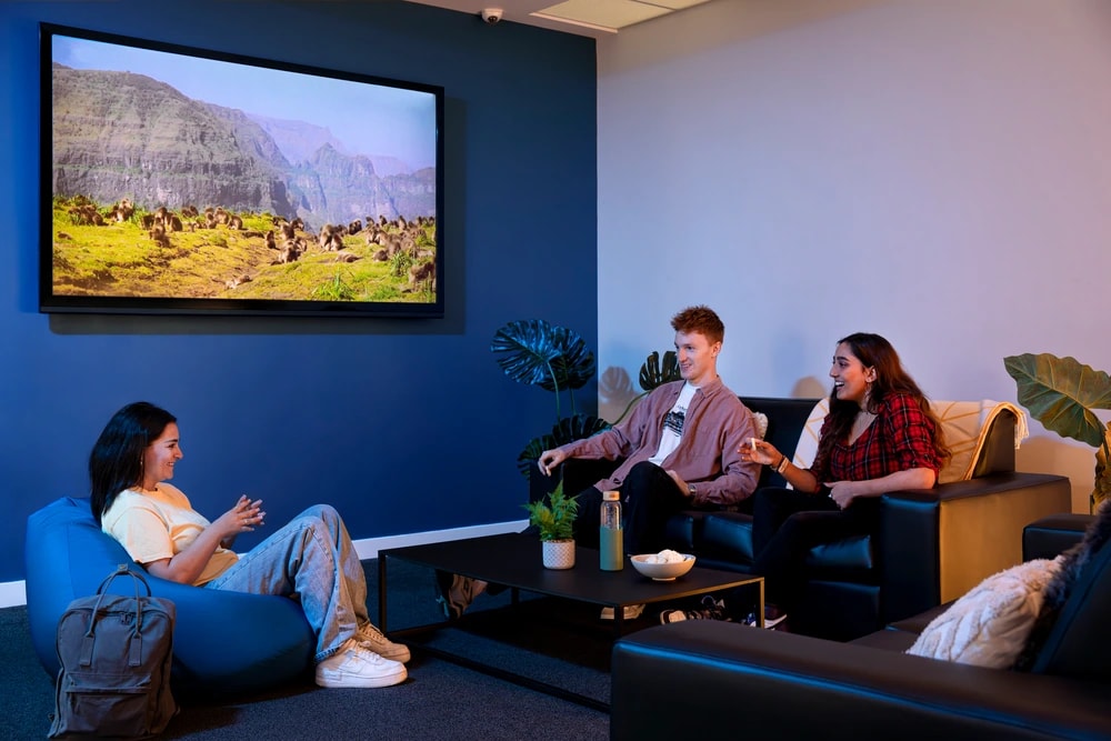 Students in the cinema room