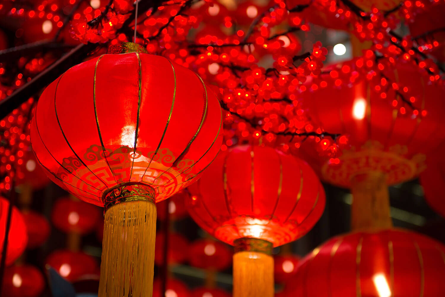 Chinese New Year lanterns