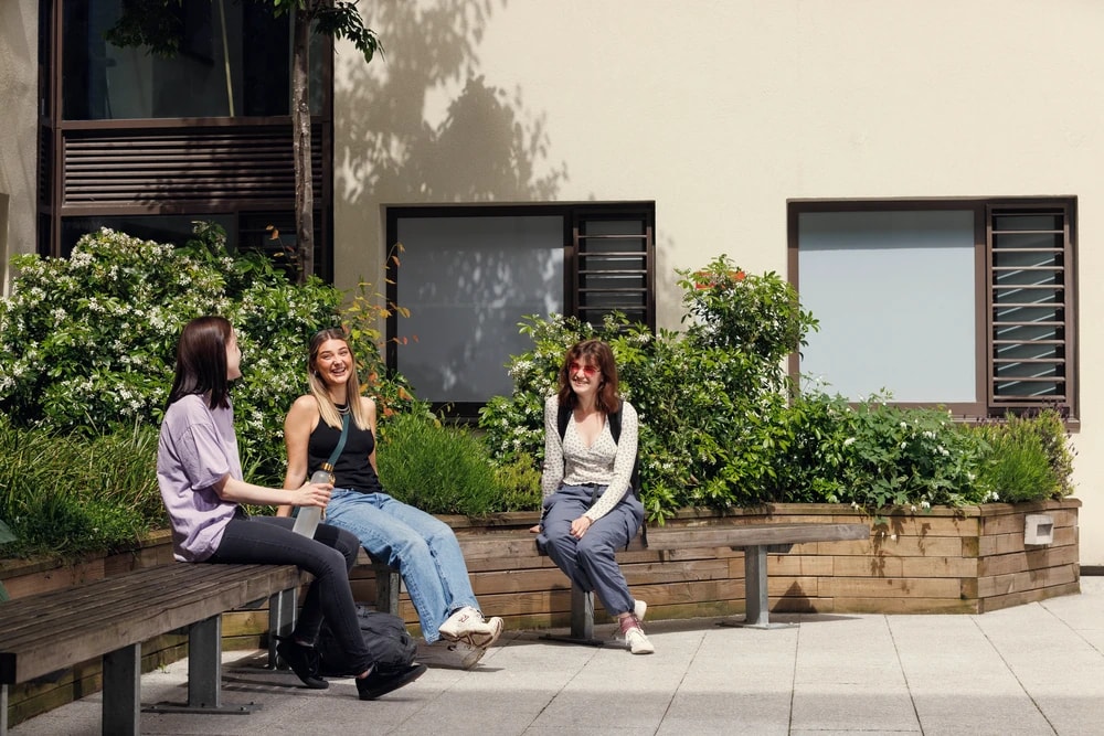 Students in the courtyard